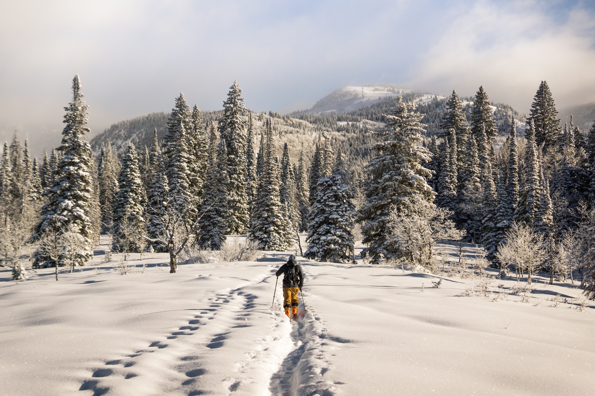 View our Edgemont vacation rentals in Steamboat Springs