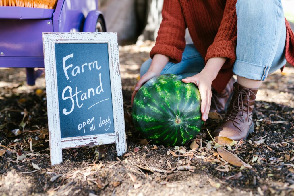 Local Farmers and Craft Markets in Steamboat Springs