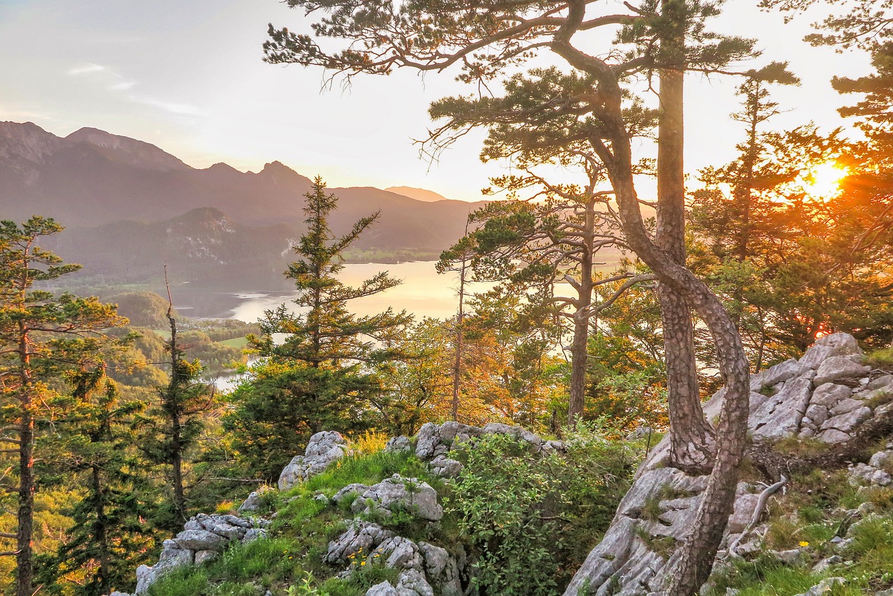 Celebrate Labor Day 2024 in Steamboat Springs! Enjoy outdoor adventures, local events, and the beauty of the mountains. Book your perfect getaway with Elevated Properties today!