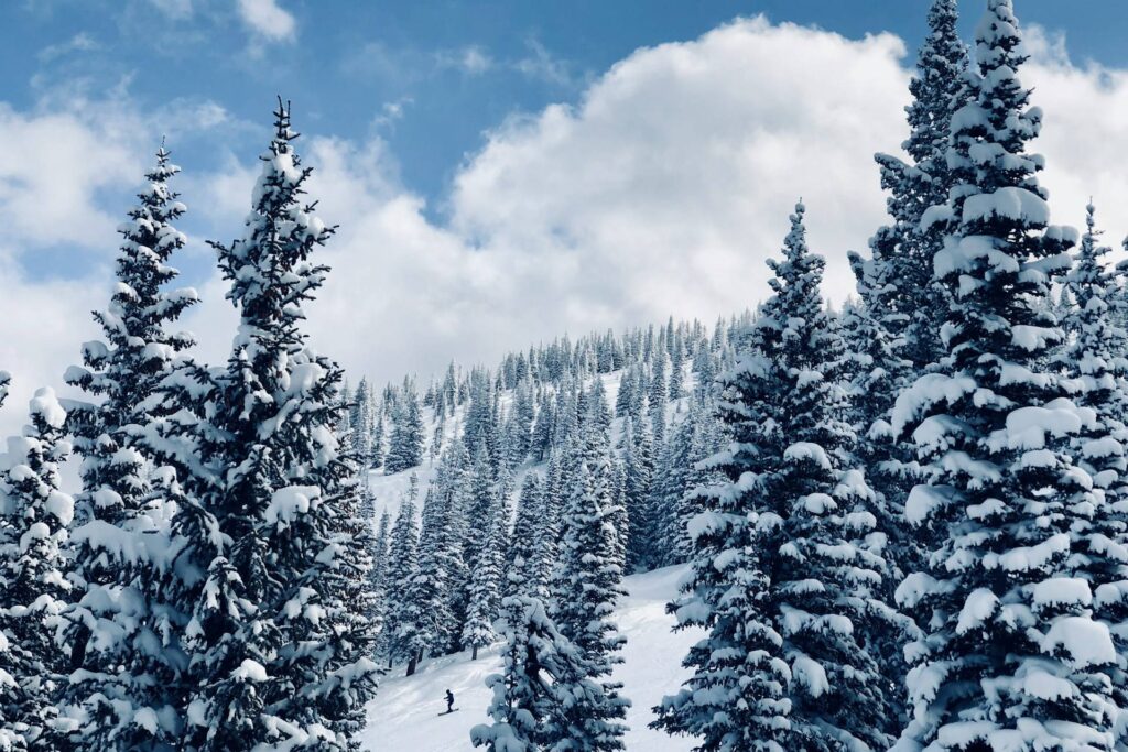 A view of Steamboat Springs in the winter Steamboat Springs, CO in the winter