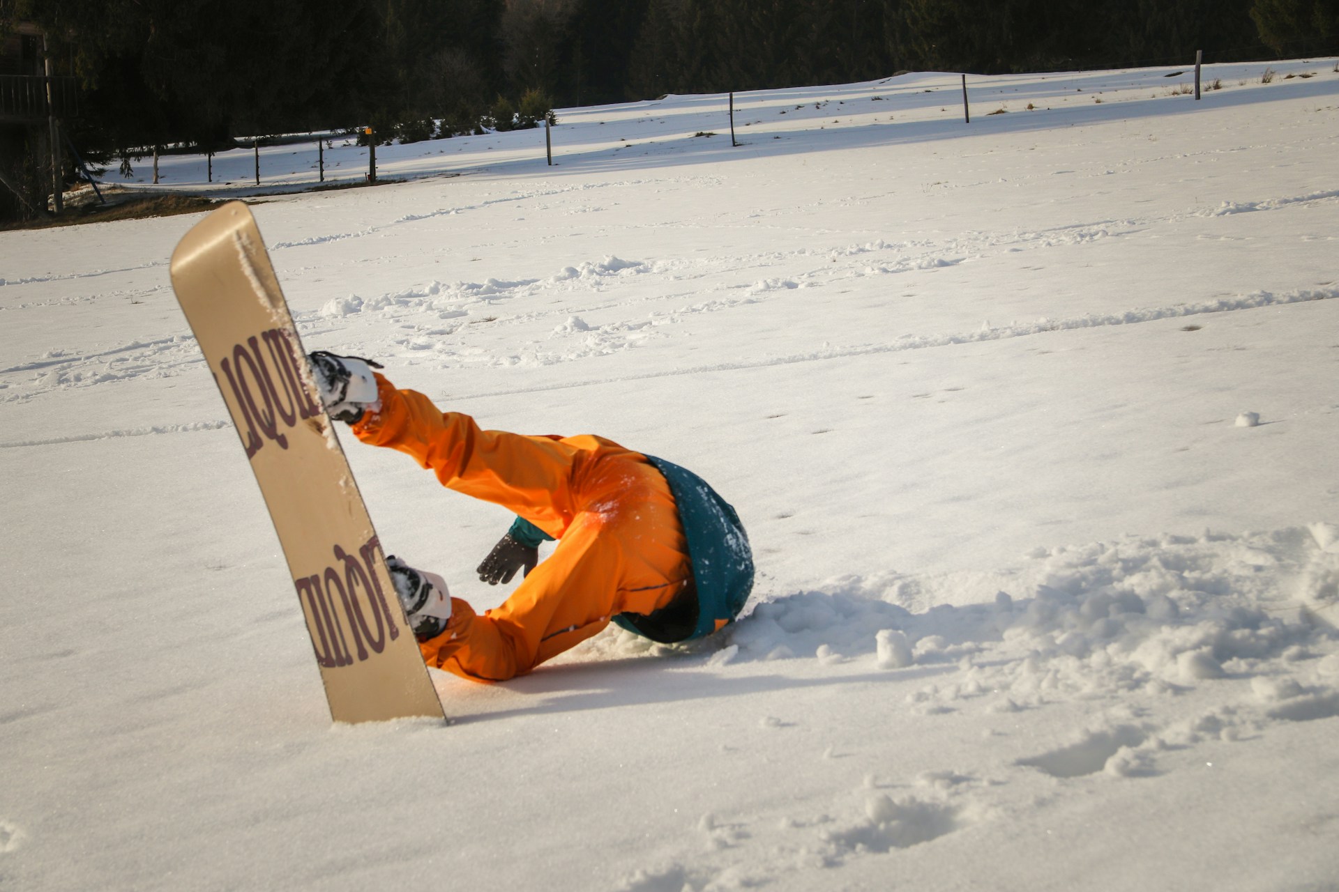 Steamboat Springs Cardboard Classic