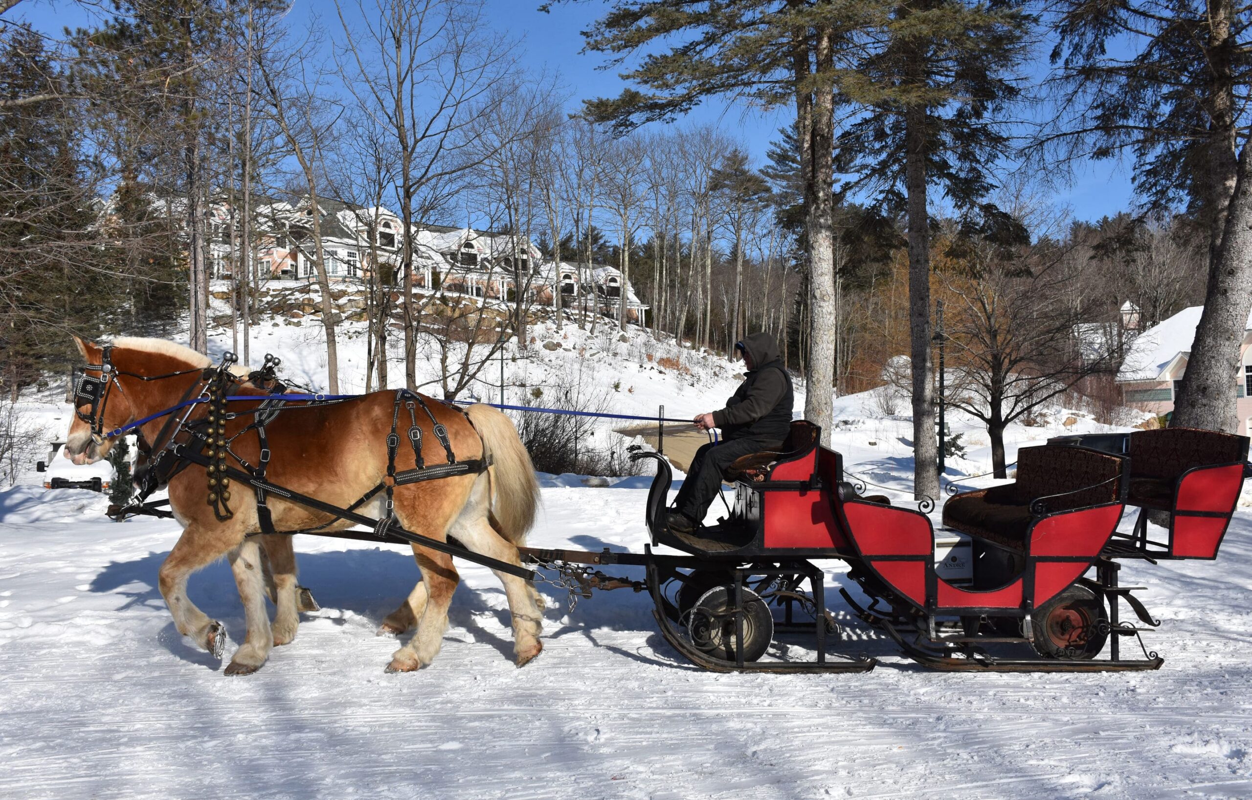5 romantic Steamboat Springs things to do