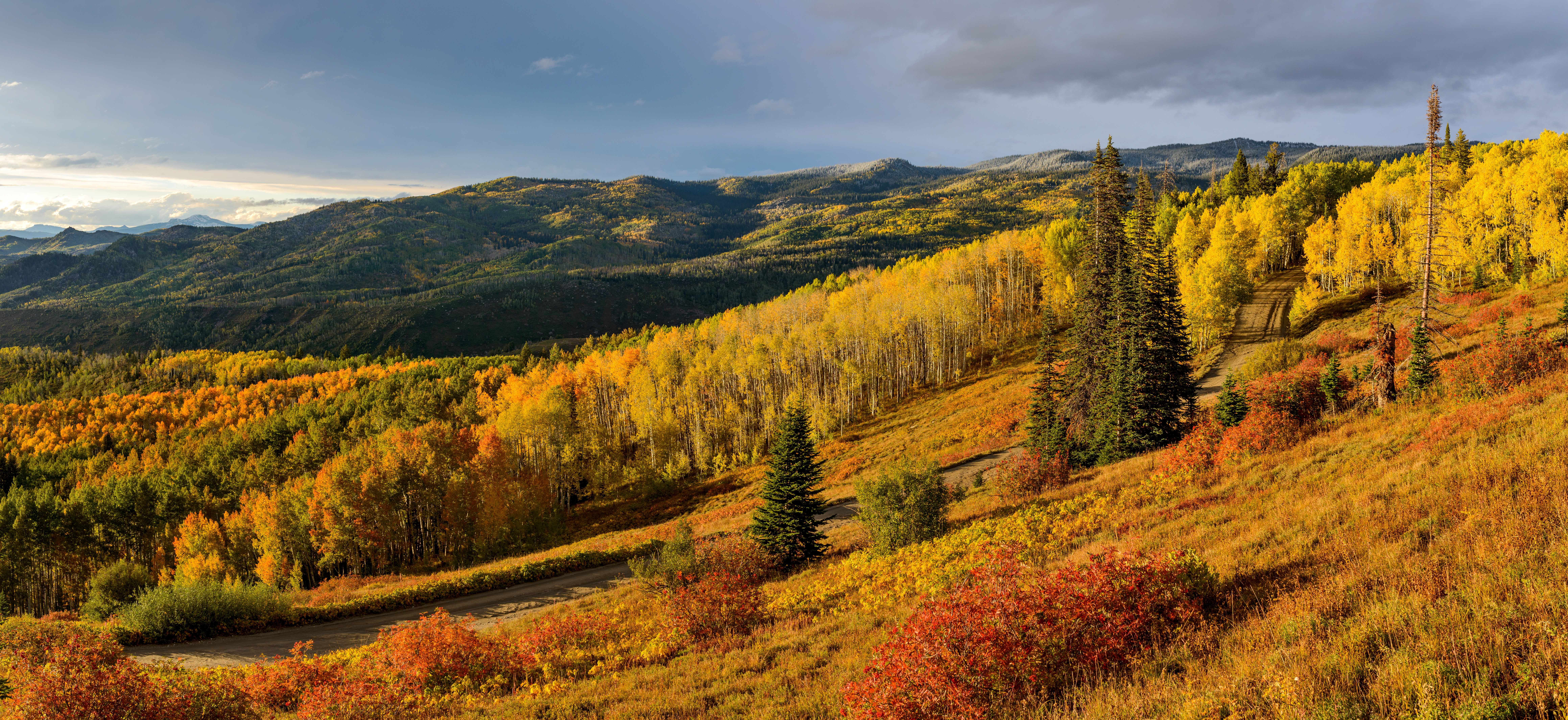 unique Steamboat Springs dating ideas